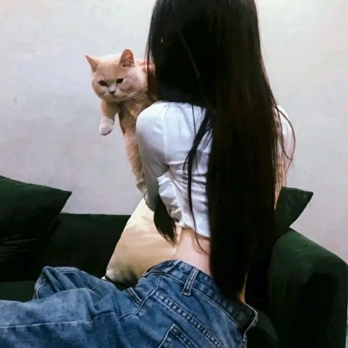 守边人 在线观看封面