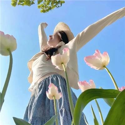 茉莉花 在线观看封面