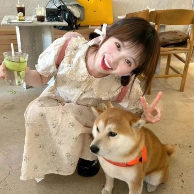 傻瓜庞克之机器人现形记 在线观看封面